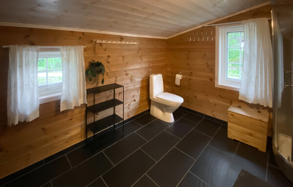 Ferienhaus - Bortelid/Åseral , Norwegen - NVI045 702