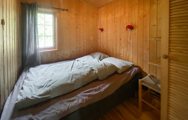 Ferienhaus - Bortelid/Åseral , Norwegen - NVI045 601