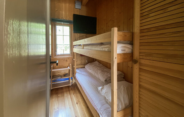 Ferienhaus - Bortelid/Åseral , Norwegen - NVI045 603