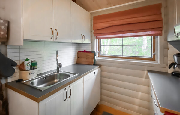 Ferienhaus - Bortelid/Åseral , Norwegen - NVI045 5