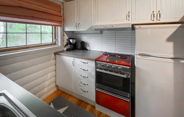 Ferienhaus - Bortelid/Åseral , Norwegen - NVI045 6