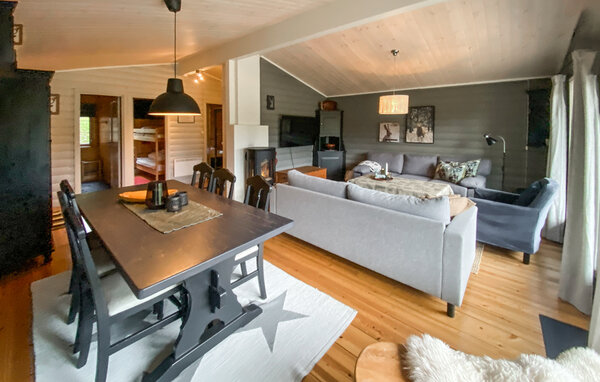 Ferienhaus - Bortelid/Åseral , Norwegen - NVI045 7