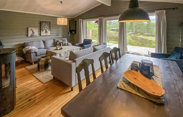 Ferienhaus - Bortelid/Åseral , Norwegen - NVI045 3