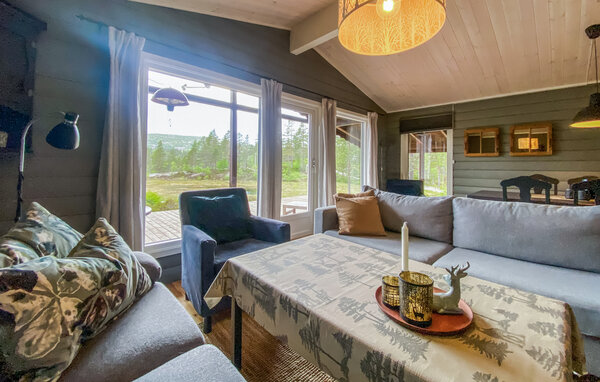 Ferienhaus - Bortelid/Åseral , Norwegen - NVI045 4