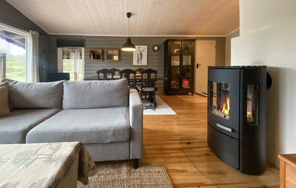 Ferienhaus - Bortelid/Åseral , Norwegen - NVI045 301