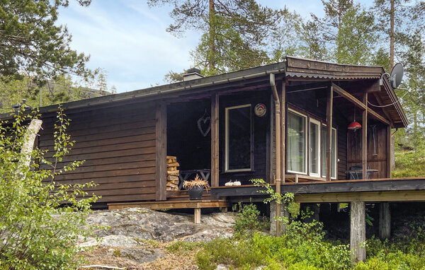 Ferienhaus - Bortelid/Åseral , Norwegen - NVI045 81