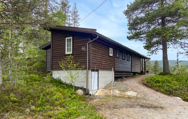 Ferienhaus - Bortelid/Åseral , Norwegen - NVI045 1