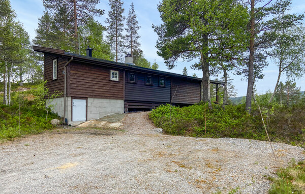Ferienhaus - Bortelid/Åseral , Norwegen - NVI045 82