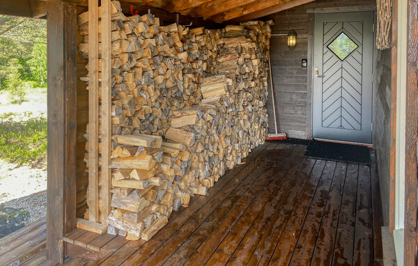 Ferienhaus - Bortelid/Åseral , Norwegen - NVI045 101