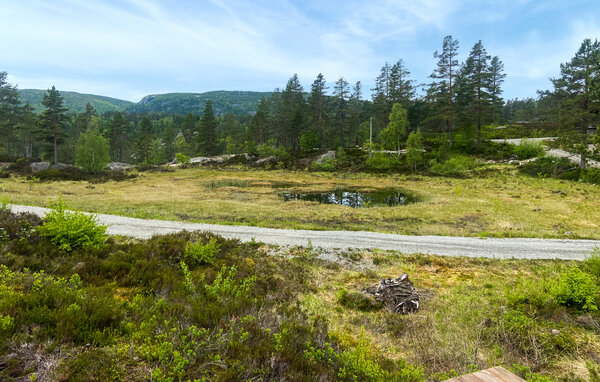 Ferienhaus - Bortelid/Åseral , Norwegen - NVI045 9