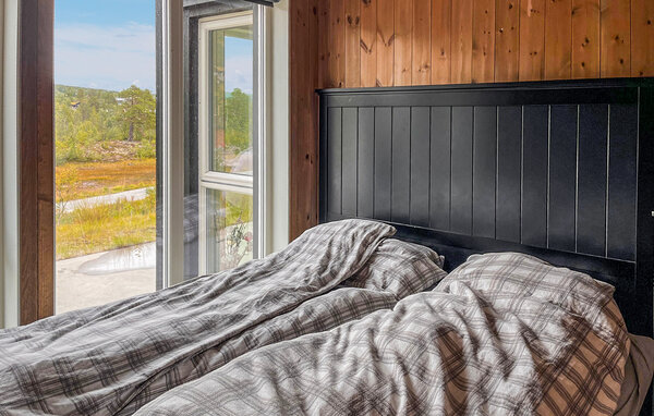 Casa vacanze - Hovden i Setesdal , Norvegia - NVI046 601