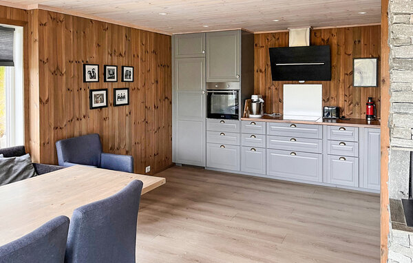 Casa vacanze - Hovden i Setesdal , Norvegia - NVI046 5