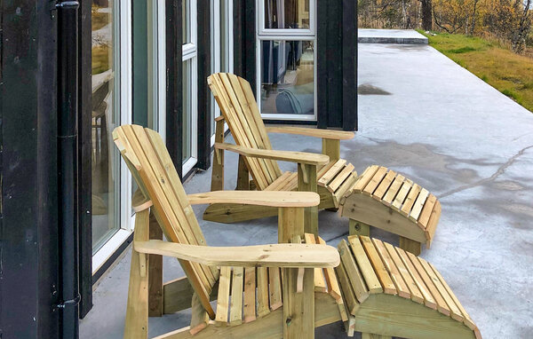 Casa vacanze - Hovden i Setesdal , Norvegia - NVI046 9
