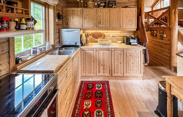 Feriehus - Sinnes/Sirdal , Norge - NVI047 8