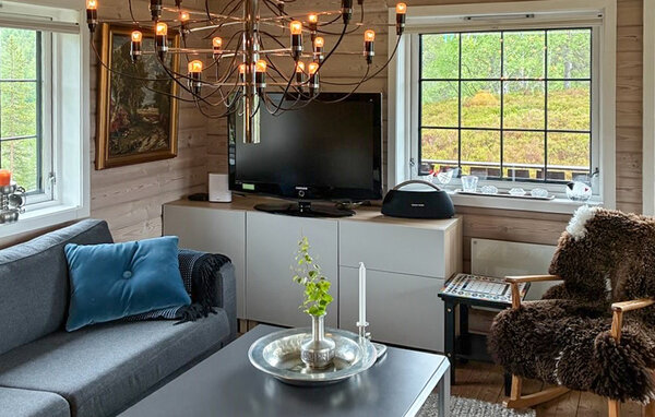 Feriehus - Tjørhom/Sirdal , Norge - NVI051 4