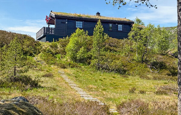 Holiday Home - Tjørhom/Sirdal , Norway - NVI051 1