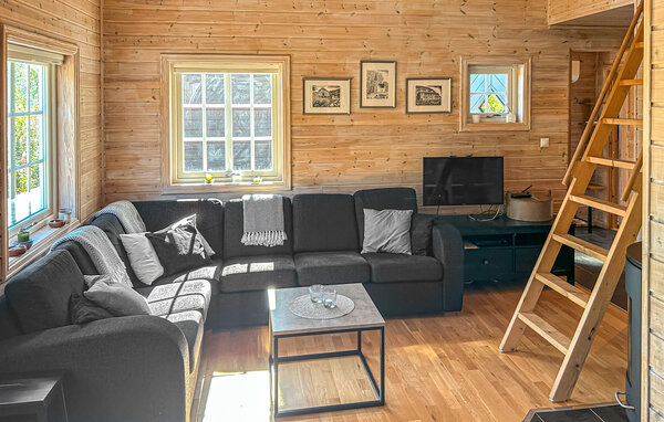 Feriehus - Ljosland/Åseral , Norge - NVI052 3