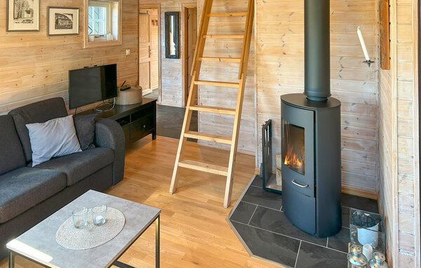 Feriehus - Ljosland/Åseral , Norge - NVI052 4