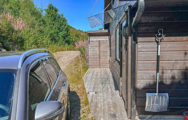 Feriehus - Ljosland/Åseral , Norge - NVI052 106