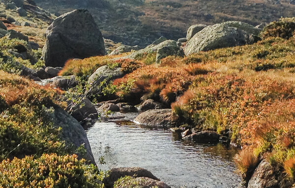Semesterhus - Tjørhom, Sirdal , Norge - NVI055 901
