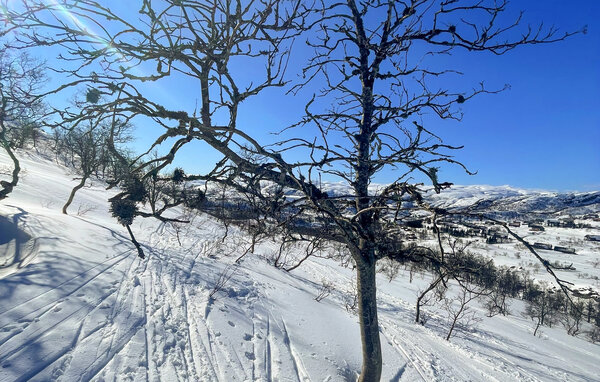 Semesterhus - Tjørhom, Sirdal , Norge - NVI055 102