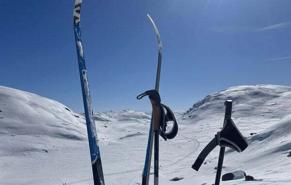 Semesterhus - Tjørhom, Sirdal , Norge - NVI055 103