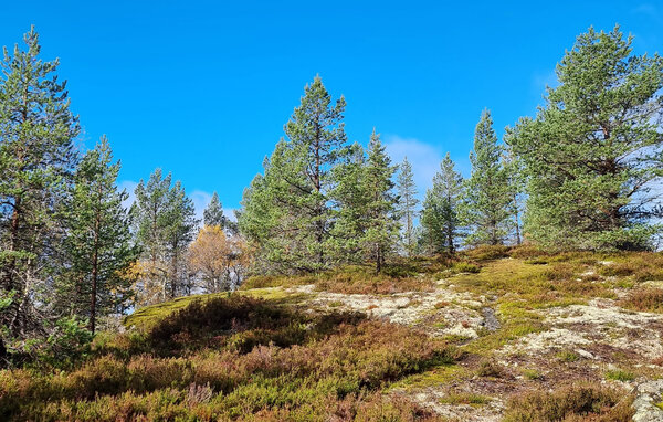 Ferienhaus - Tjørhom , Norwegen - NVI064 902