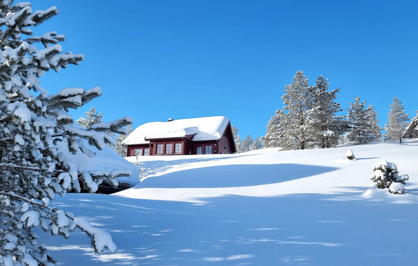 Ferienhaus - Tjørhom , Norwegen - NVI064 9