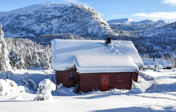Ferienhaus - Tjørhom , Norwegen - NVI064 81