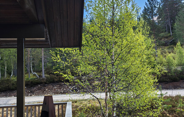 Feriehus - Åmli , Norge - NVI066 101