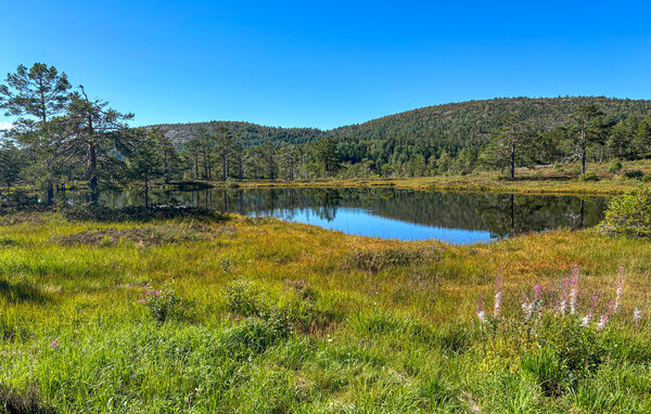 Semesterhus - Åseral , Norge - NVI068 901