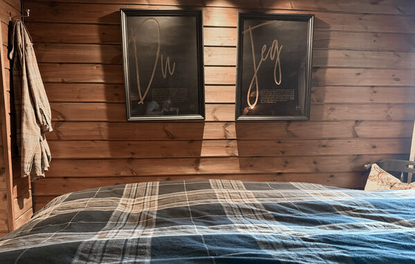 Semesterhus - Åseral , Norge - NVI068 603