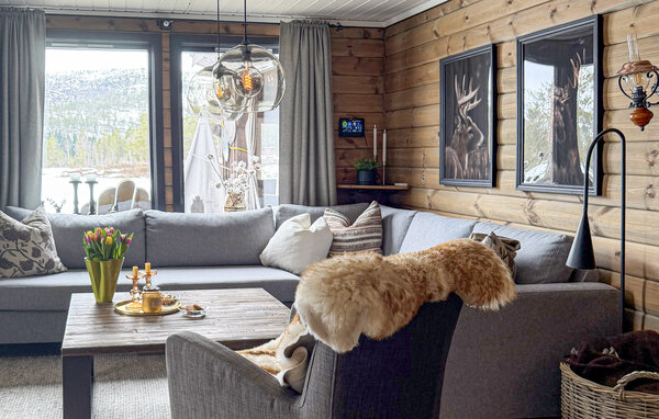 Semesterhus - Åseral , Norge - NVI068 4