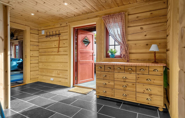 Domy wakacyjne - Evje/Gautestad , Norwegia - NVI070 501