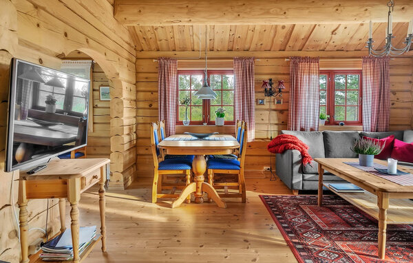 Domy wakacyjne - Evje/Gautestad , Norwegia - NVI070 302