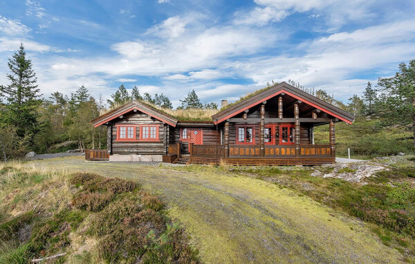 Domy wakacyjne - Evje/Gautestad , Norwegia - NVI070 81