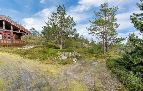 Domy wakacyjne - Evje/Gautestad , Norwegia - NVI070 102