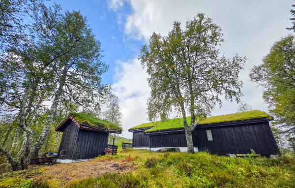 Ferienhaus - Sirdal , Norwegen - NVI090 9