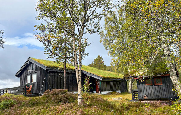 Ferienhaus - Sirdal , Norwegen - NVI090 101