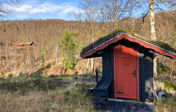 Ferienhaus - Sirdal , Norwegen - NVI090 102