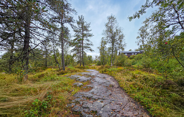 Ferienhaus - Sirdal , Norwegen - NVI090 104