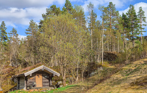 Feriehus - Sirdal, Sageneset Feriesenter , Norge - NVI131 81