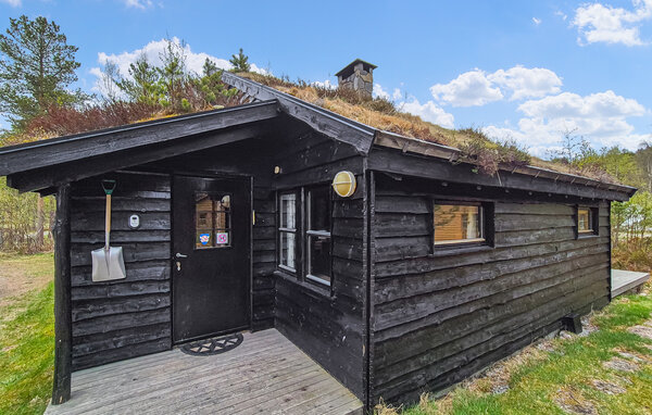 Feriehus - Sirdal, Sageneset Feriesenter , Norge - NVI141 8