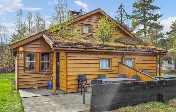 Domy wakacyjne - Sirdal, Sageneset Feriesenter , Norwegia - NVI145 1