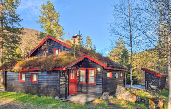 Domy wakacyjne - Sirdal, Sageneset Feriesenter , Norwegia - NVI149 1