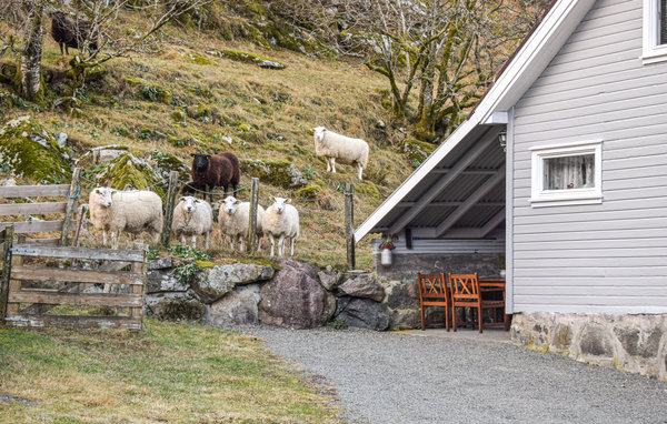 Semesterhus - Flekkefjord , Norge - NVK066 901