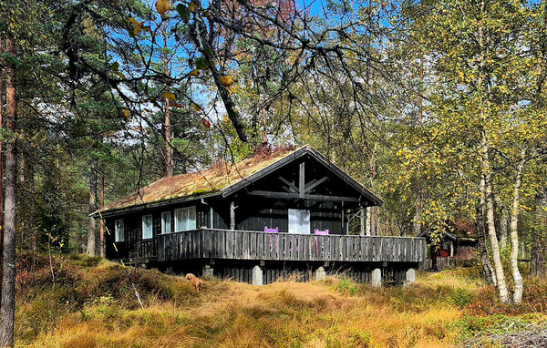 Holzverkleidete Wände und eine hohe Dachschräge verleihen dieser einladenden Hütte einen unverwechselbar nordischen Charakter, während großzügige Fenster den geräumigen Wohnbereich mit Tageslic..