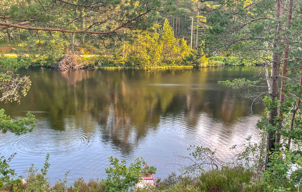 Domy wakacyjne - Kristiansand , Norwegia - NVK304 904