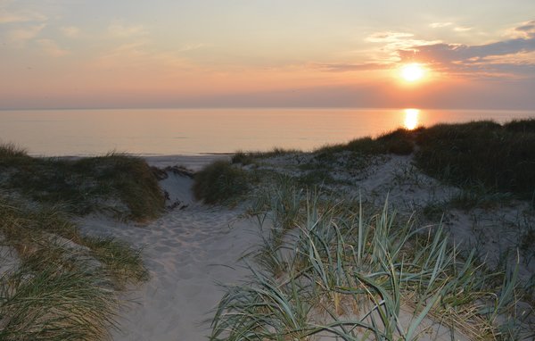 Feriehus - Vejers Strand , Danmark - P32022 901
