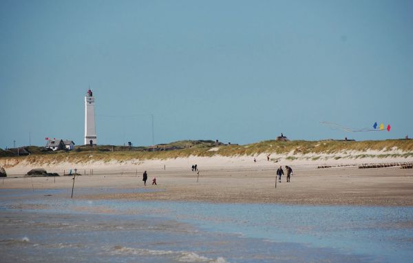 Ferienhaus - Blåvand , Dänemark - P32125 901